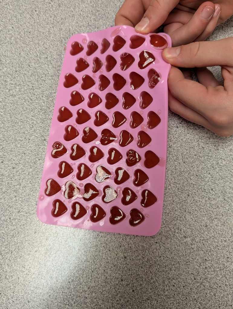 Scenes from our Nov. 18 Fresh Connections Club meeting. 