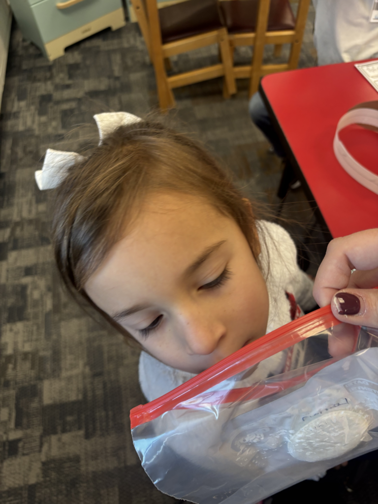 Scenes from Kristin Janes’s sense detectives activity Friday.