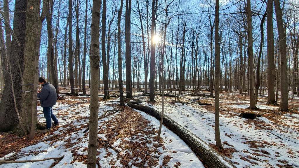 Jenna Linsey’s high school local outdoor sciences students are pictured collecting water and soil samples before winter recess. 