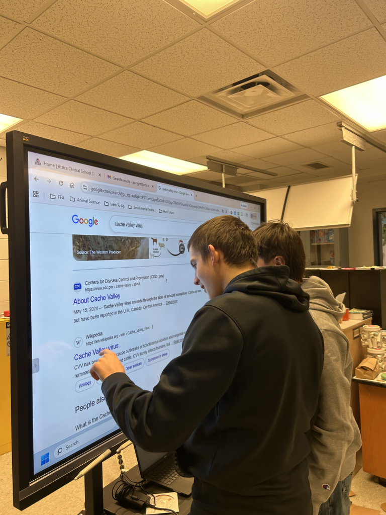 Scenes from Kristen Hess’s recent necropsy lesson with high school animal science students. 