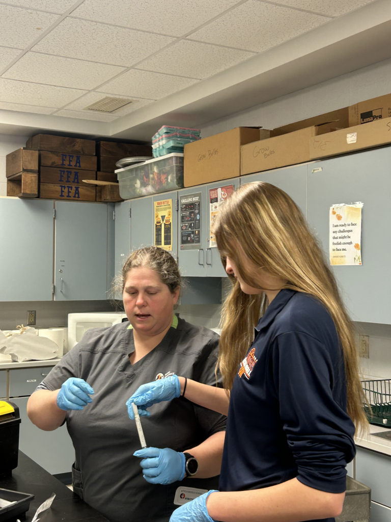 Scenes from Kristen Hess’s recent necropsy lesson with high school animal science students. 