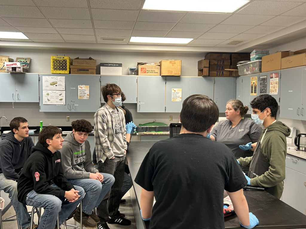 Scenes from Kristen Hess’s recent necropsy lesson with high school animal science students. 