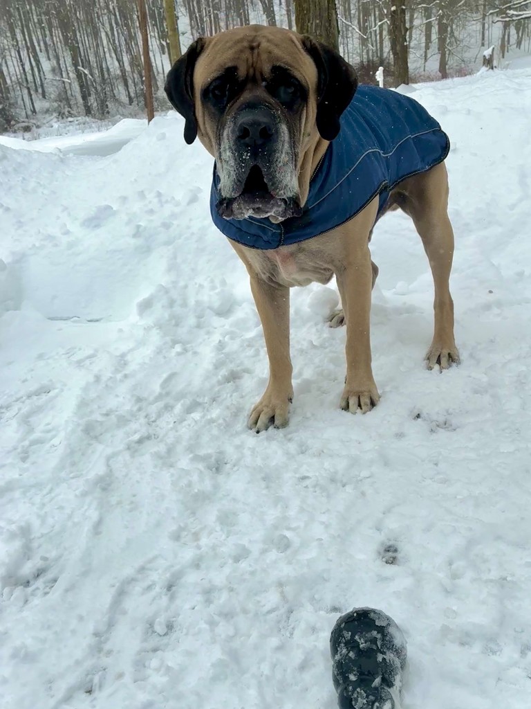 Scenes from yesterday’s snow day across Attica Central School District.