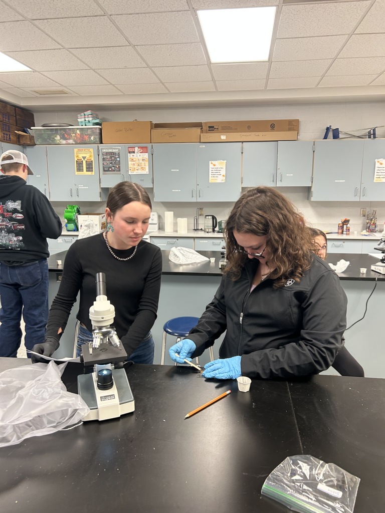Scenes from one of Ms. Alyssa Wright’s recent veterinary science classes. 