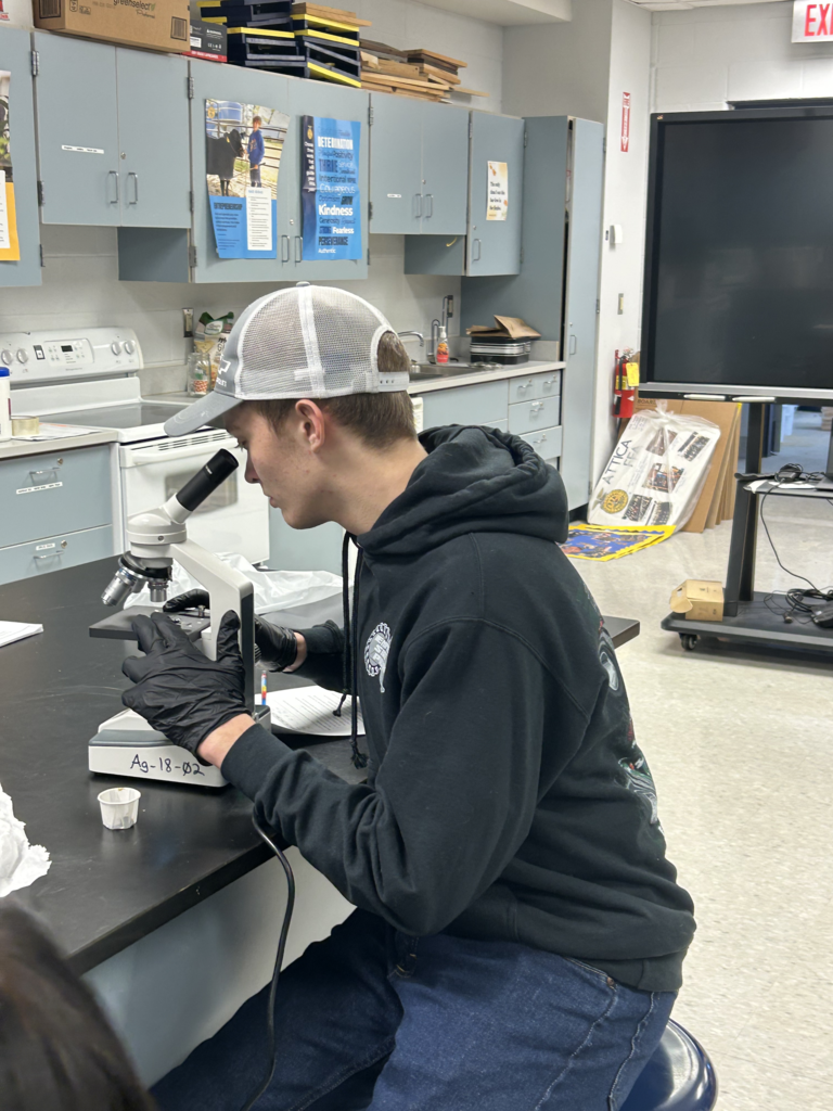 Scenes from one of Ms. Alyssa Wright’s recent veterinary science classes. 