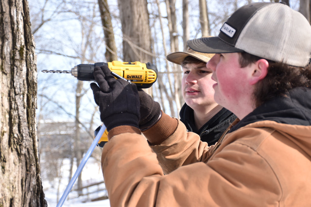 FFA members tap maple trees and run mainline Feb. 13. 