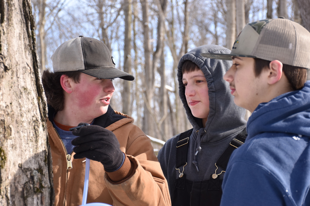 FFA members tap maple trees and run mainline Feb. 13. 
