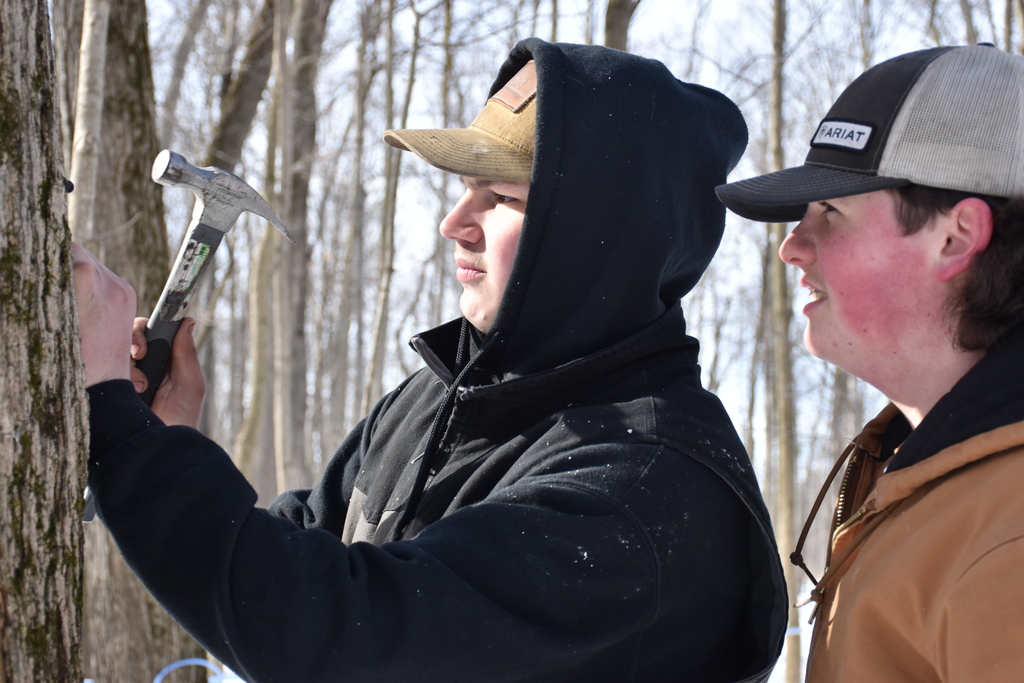 FFA members tap maple trees and run mainline Feb. 13. 