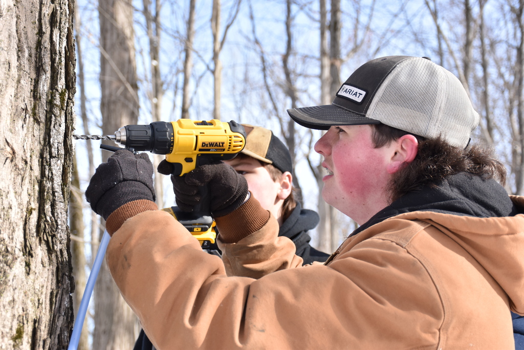 FFA members tap maple trees and run mainline Feb. 13. 
