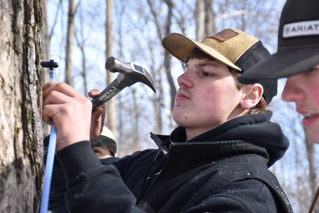 FFA members tap maple trees and run mainline Feb. 13. 