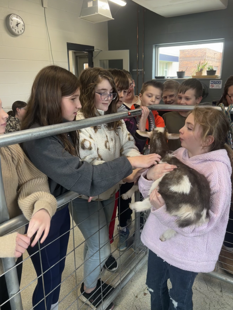 Scenes from baby goats’ visit to our district Monday. 