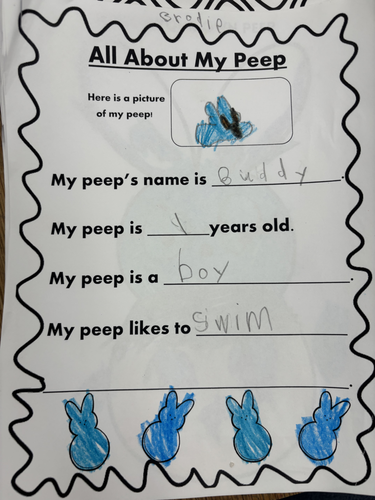 Scenes from peep day in Kristin Janes’ kindergarten class. 