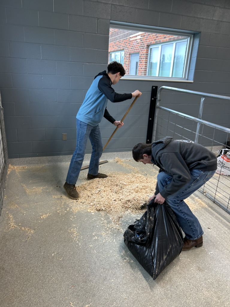Scenes from Annie the rabbit’s visit to Attica Central School District last week.