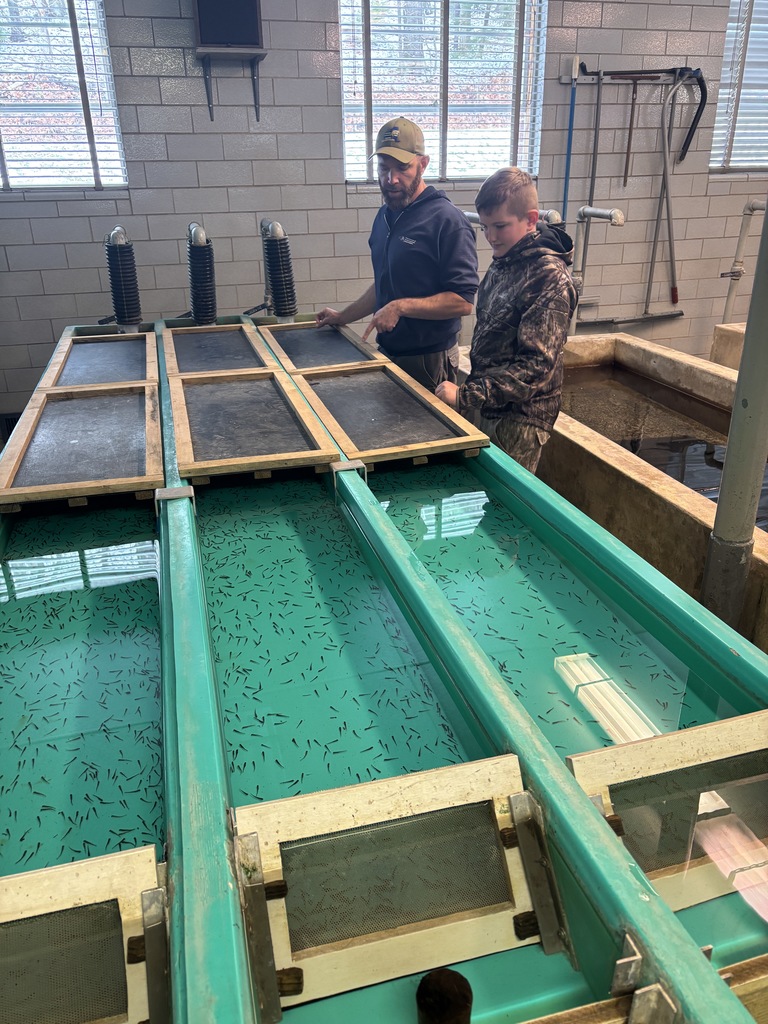 Scenes from Ms. Alyssa Wright’s students’ recent Supervised Agricultural Experience, or SAE, projects. 