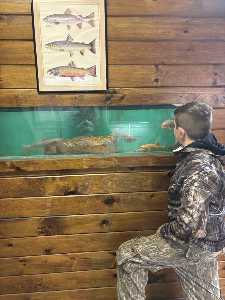 Scenes from Ms. Alyssa Wright’s students’ recent Supervised Agricultural Experience, or SAE, projects. 