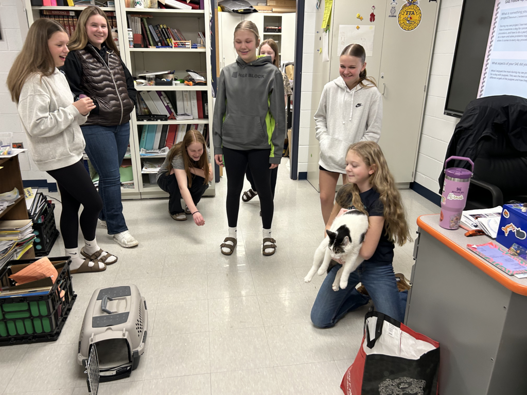 Scenes from Ms. Alyssa Wright’s students’ recent Supervised Agricultural Experience, or SAE, projects.