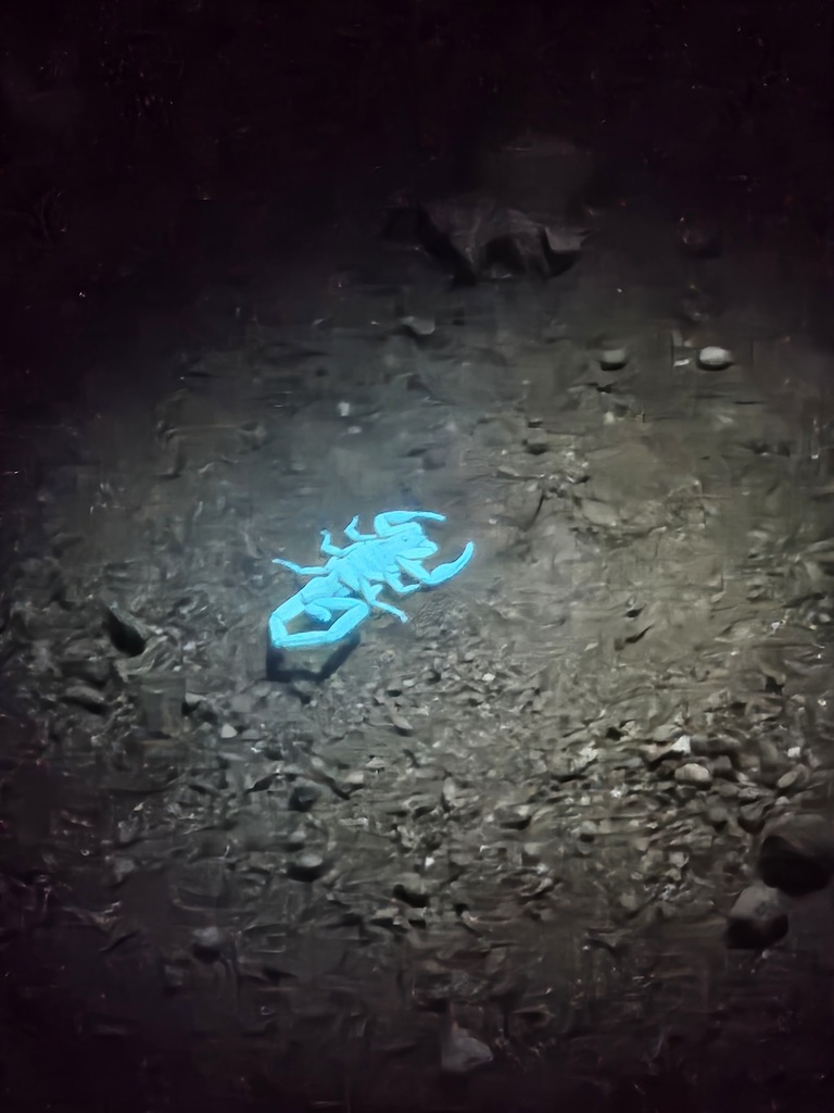 Scenes from students' trip to Costa Rica over Spring Break.