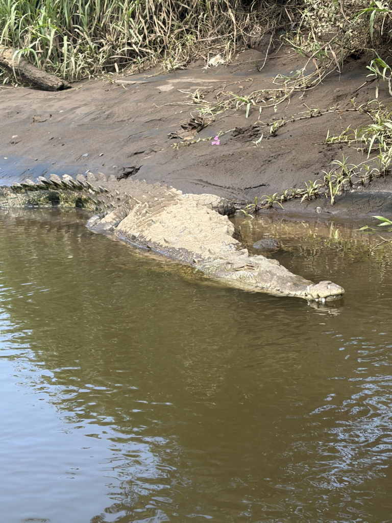 Scenes from students' trip to Costa Rica over Spring Break.