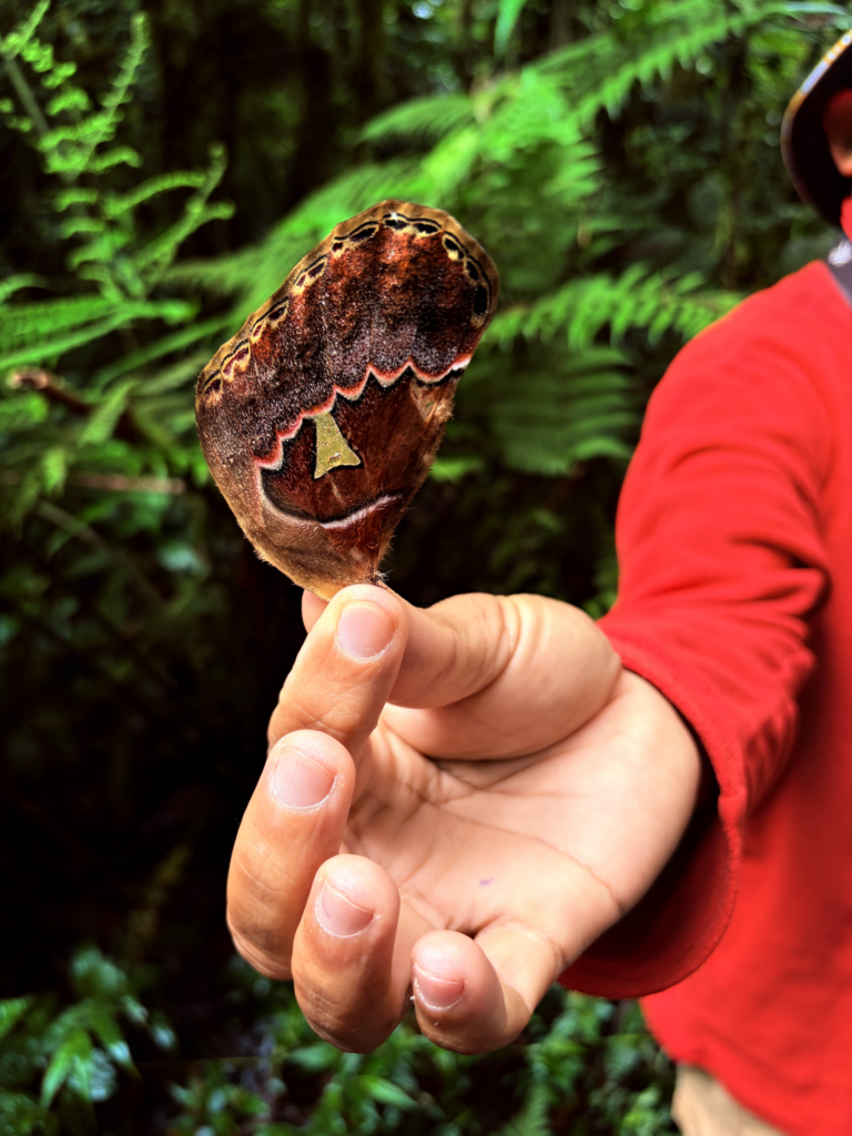 Scenes from students' trip to Costa Rica over Spring Break.