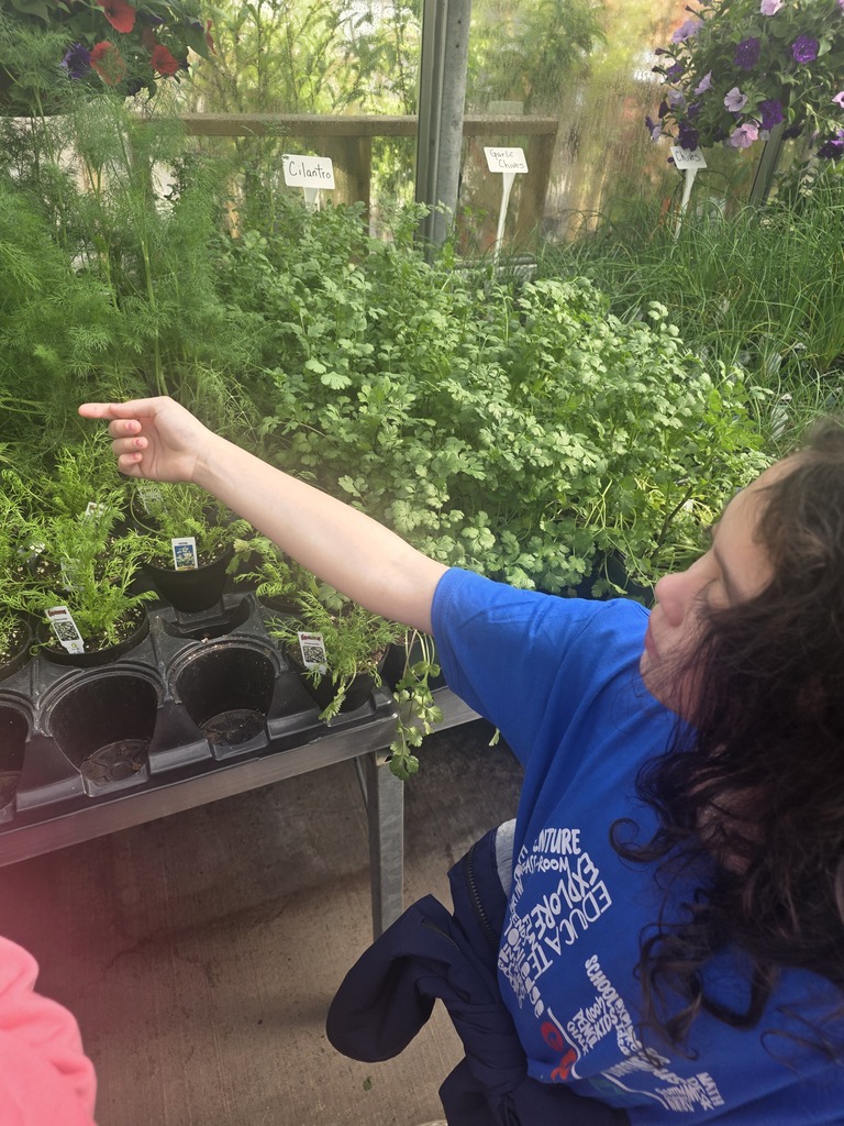 Scenes from Jessica Edwards’s 4th graders’ recent field trip to Fenton’s Bloom and Basket.