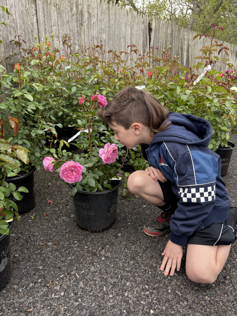 Scenes from Jessica Edwards’s 4th graders’ recent field trip to Fenton’s Bloom and Basket.