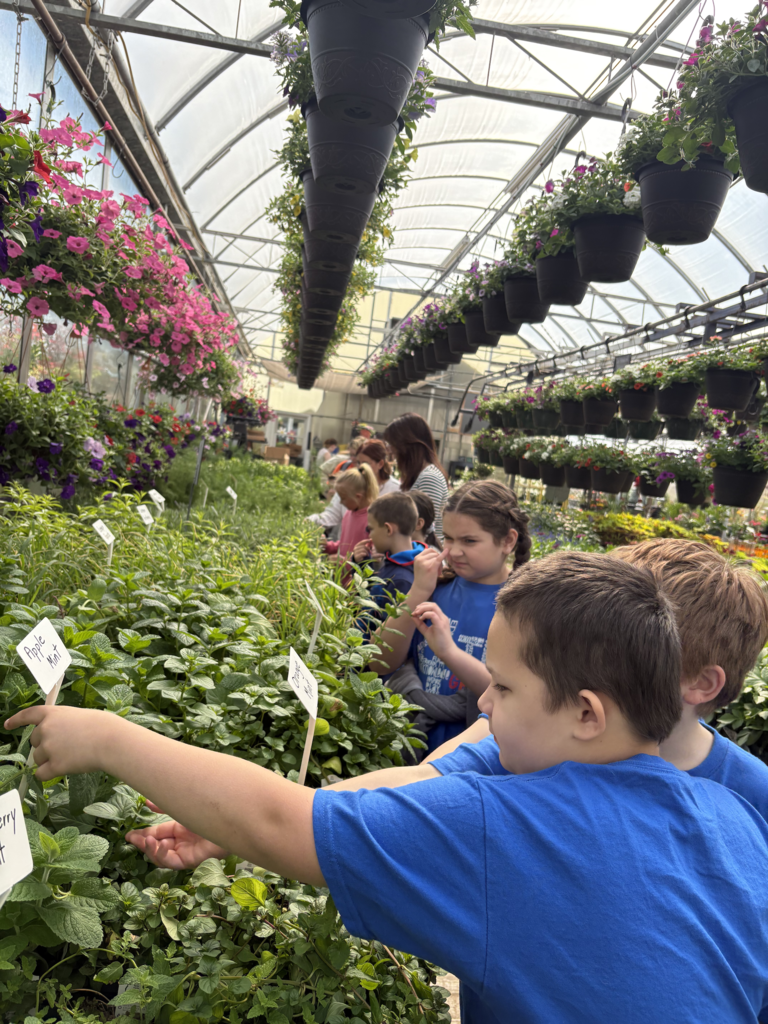 Scenes from Jessica Edwards’s 4th graders’ recent field trip to Fenton’s Bloom and Basket.