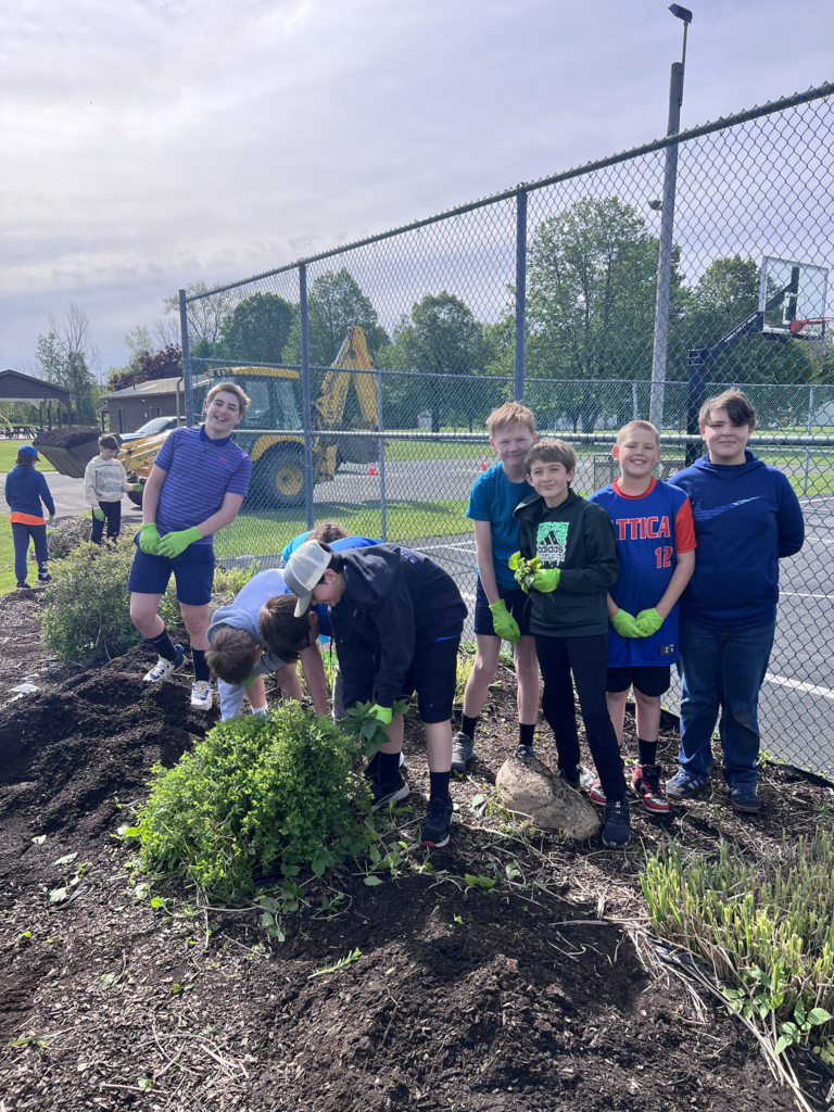 Scenes from our sixth graders’ clean up day at Attica’s Memorial Park last week. 