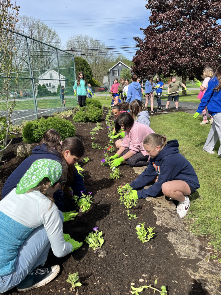 Scenes from our sixth graders’ clean up day at Attica’s Memorial Park last week. 
