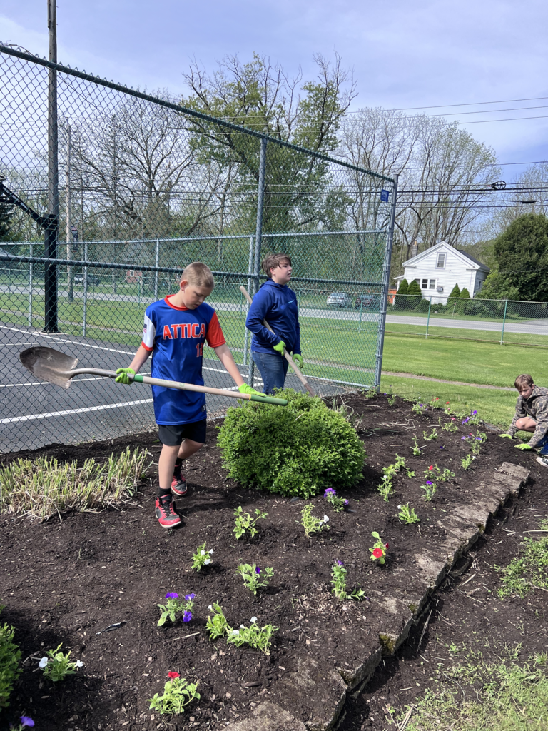 Scenes from our sixth graders’ clean up day at Attica’s Memorial Park last week. 