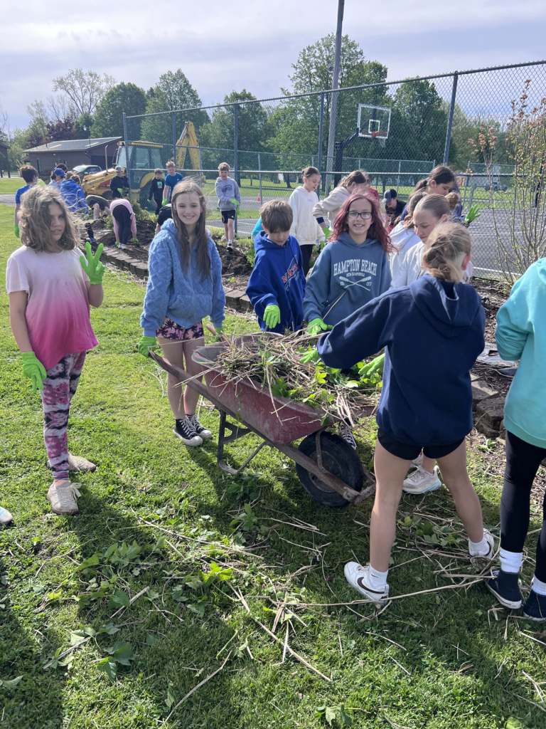 Scenes from our sixth graders’ clean up day at Attica’s Memorial Park last week. 