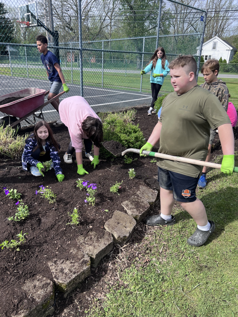 Scenes from our sixth graders’ clean up day at Attica’s Memorial Park last week. 