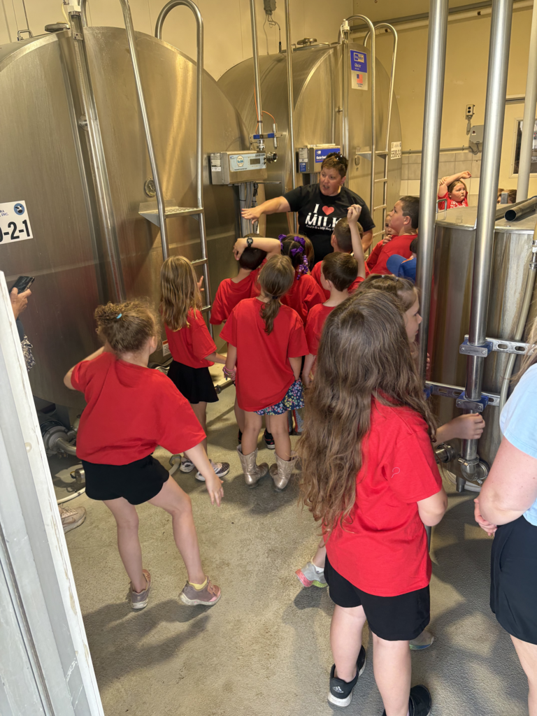 Scenes from first graders' field trip to Breezyhill Dairy in Strykersville June 5. 