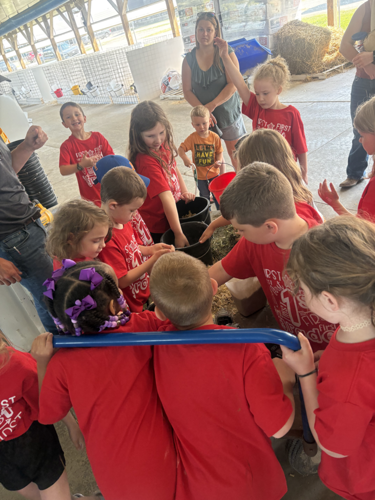 Scenes from first graders' field trip to Breezyhill Dairy in Strykersville June 5. 