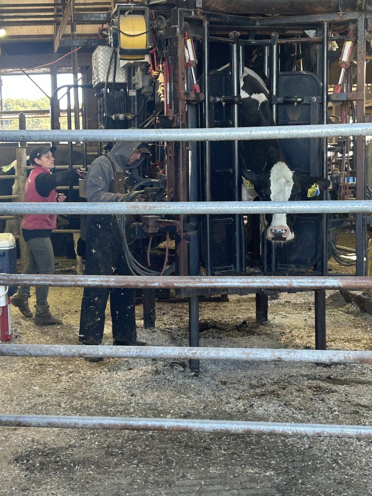 Ag 3