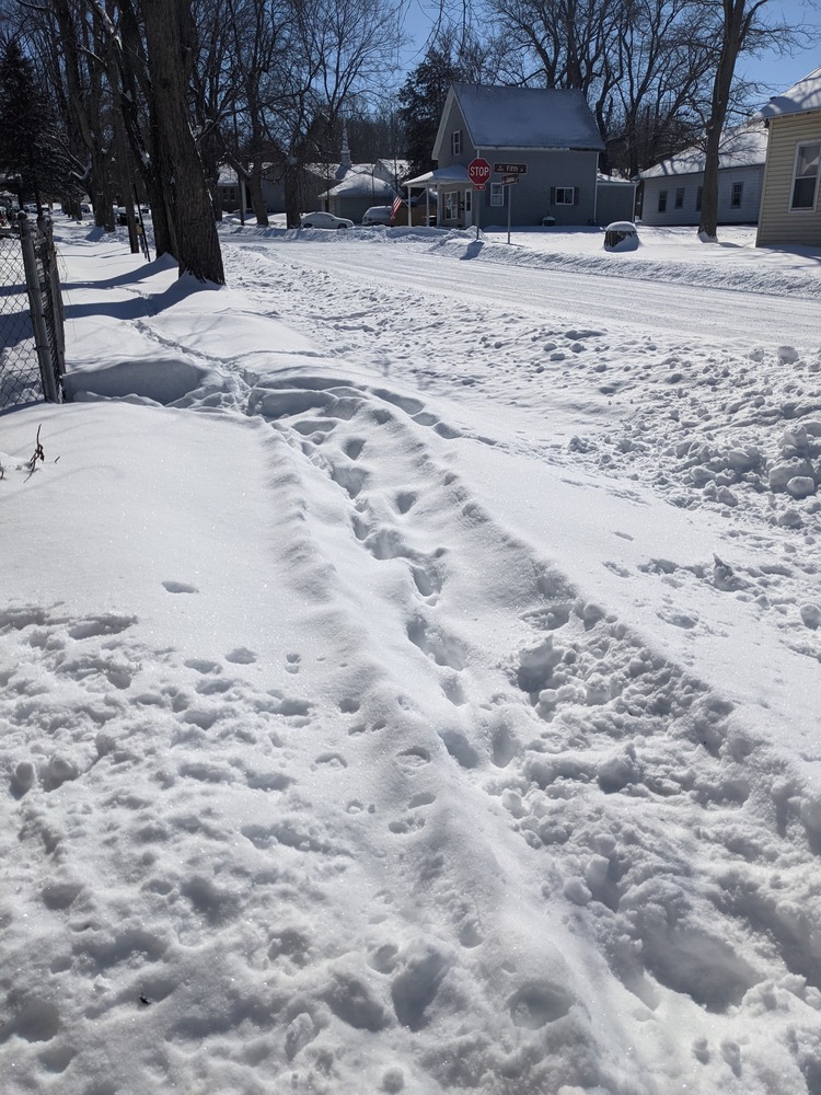 A well-tracked snowy street in Attica, Indiana