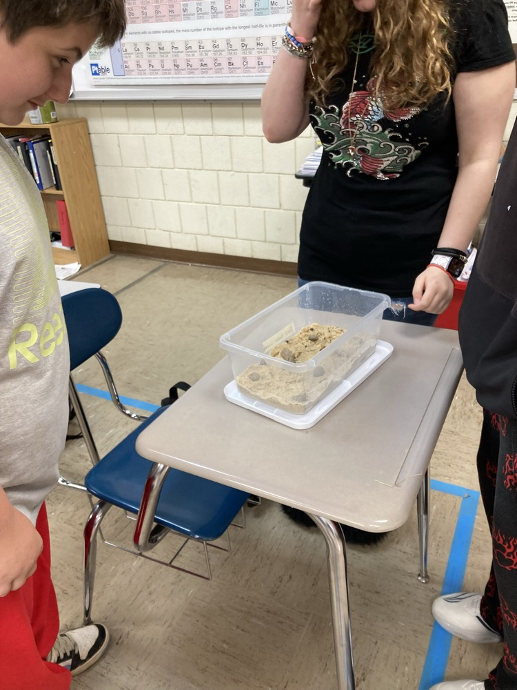 mealworms