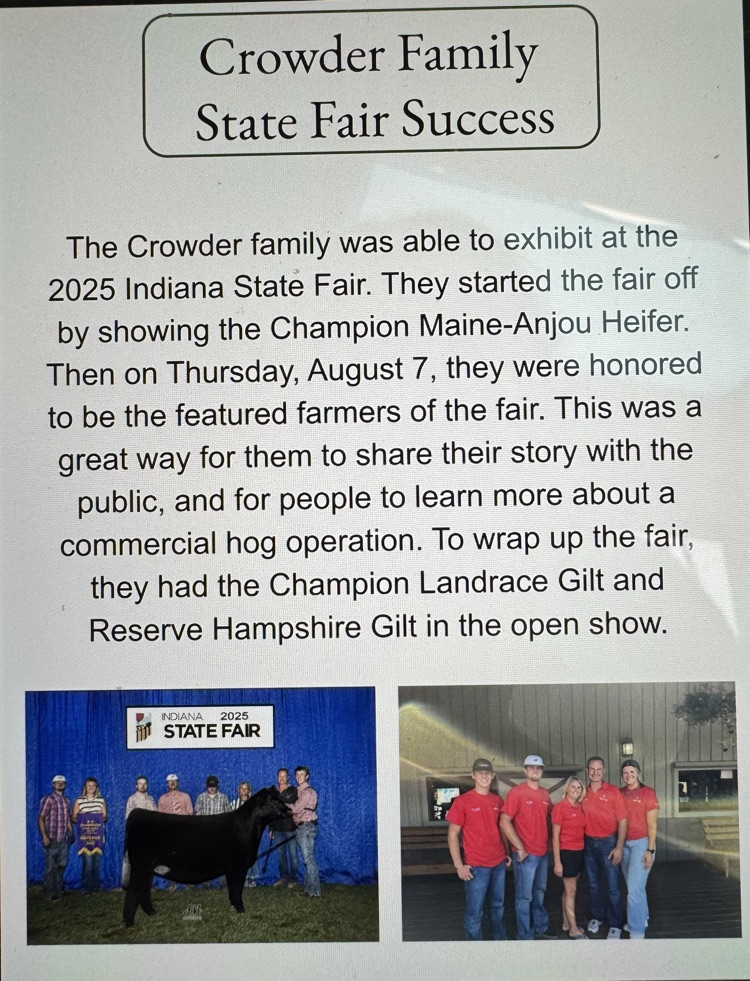 fair