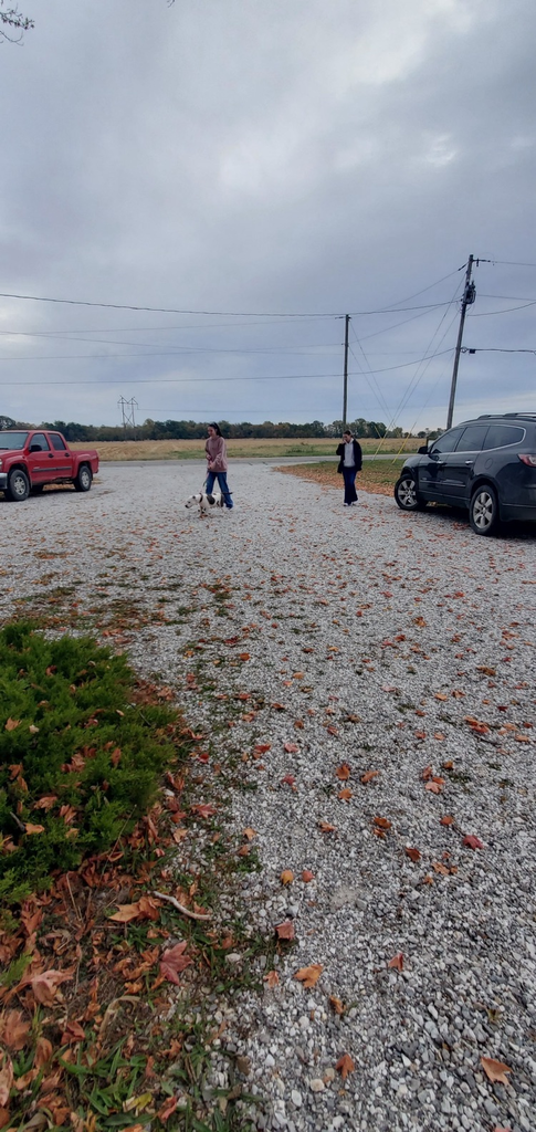 volunteer paws and claws