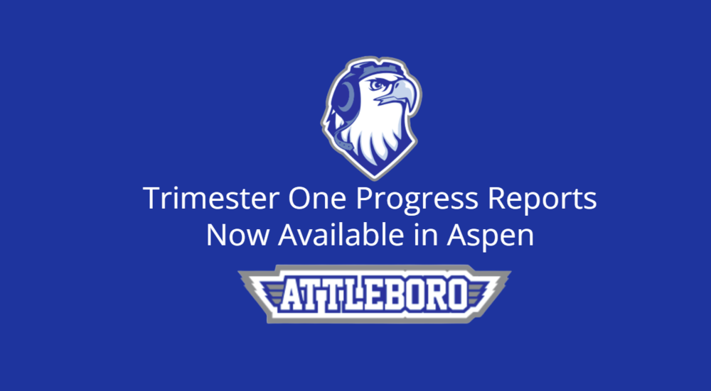 T1 Progress Reports