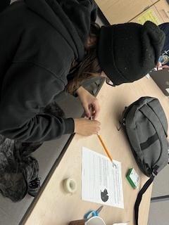 Population lab simulation in Dr. T's class