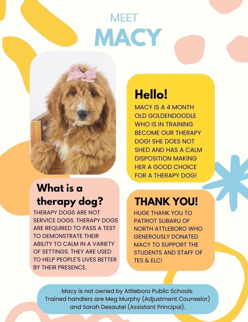 Macy