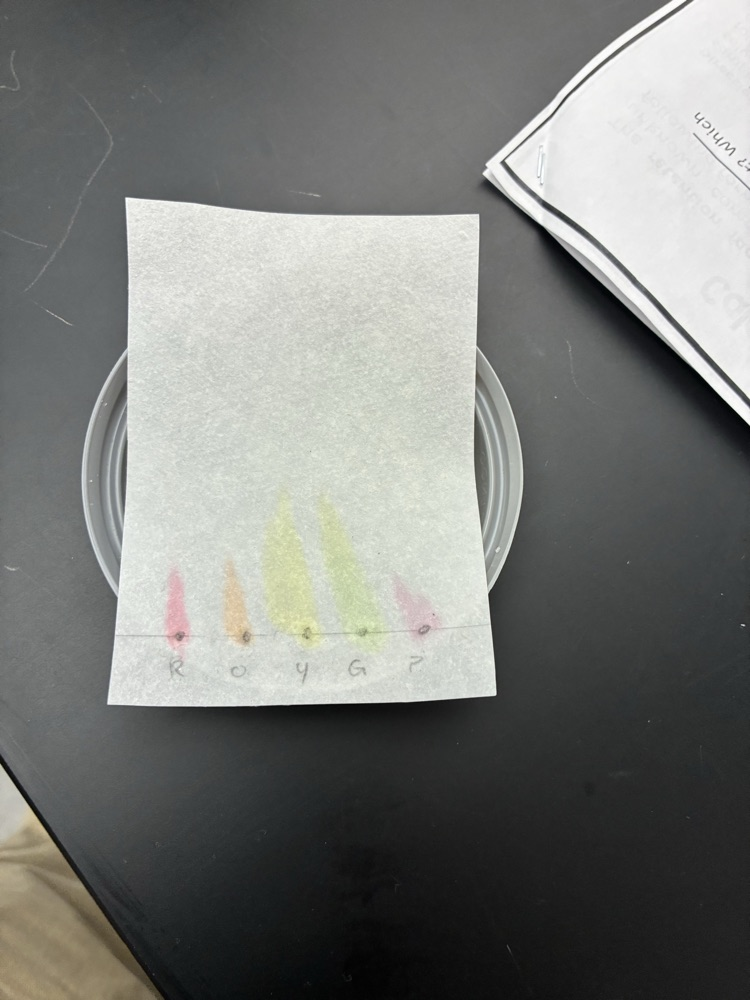 Science lab