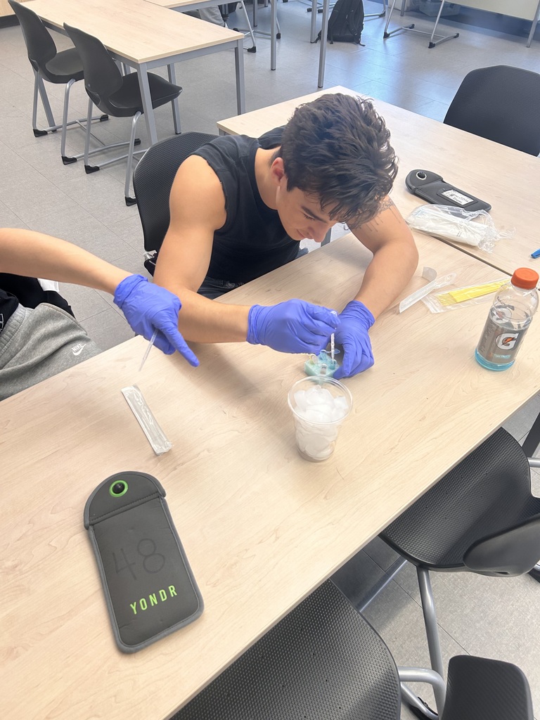Upper Students working on Science Lab