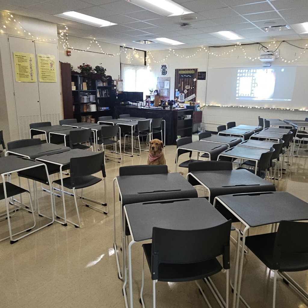 ELA7, 11, & 12 will meet here!