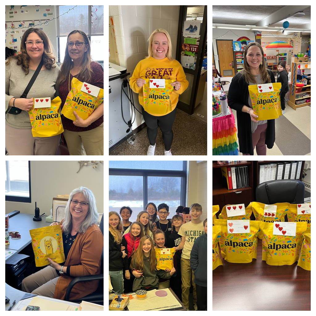 Alpaca pack February