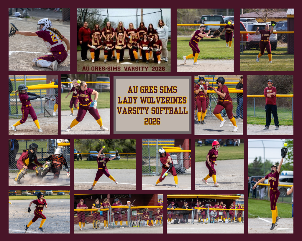 softball collage