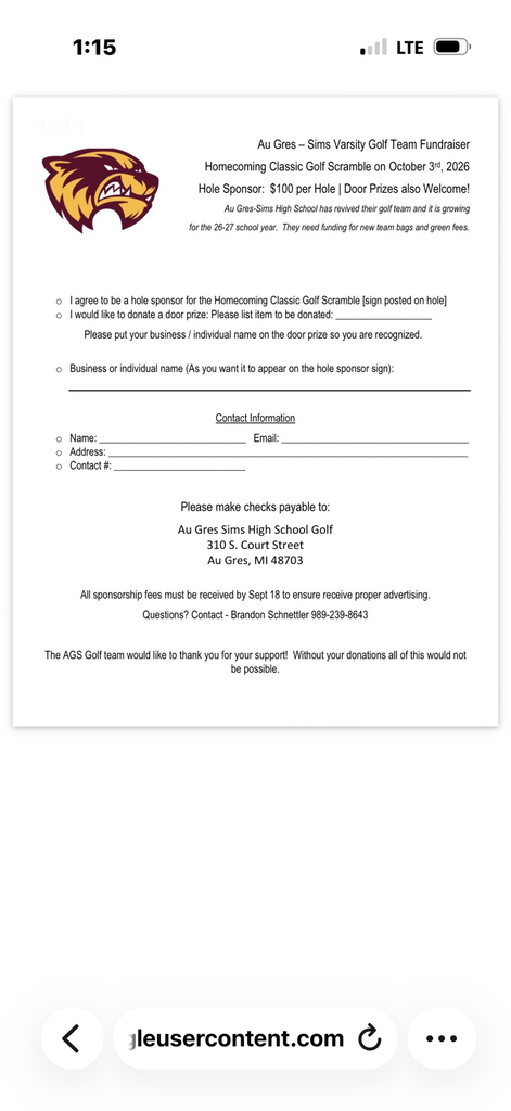 Golf Scramble
