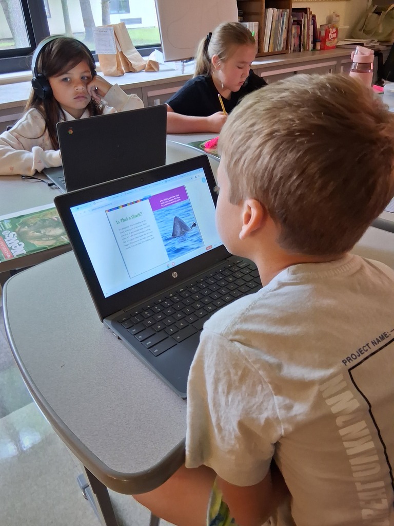 Student reads online.