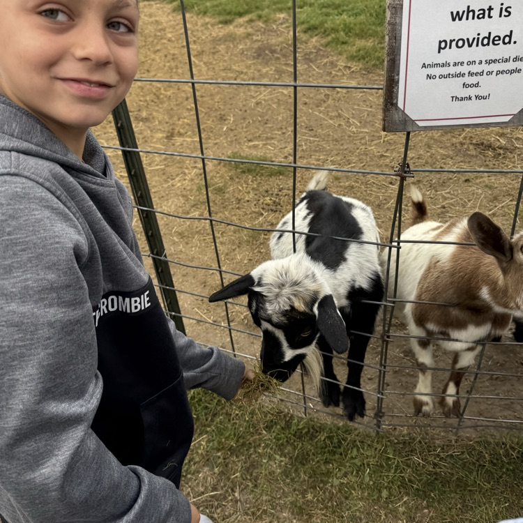 We also got to feed the goat.