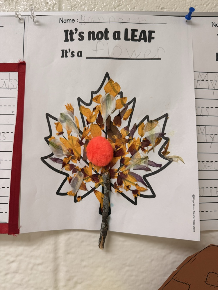 leaf in disguise as a flower